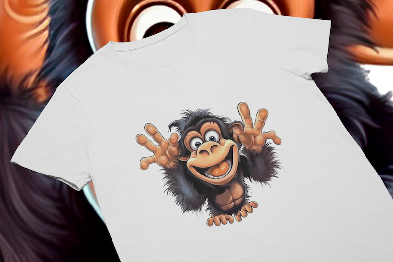 Surprise Monkey T Shirt Willow Lane